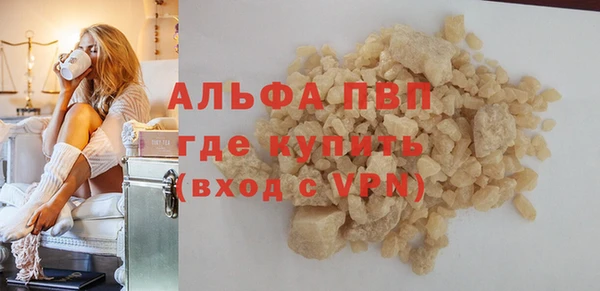 сатива Балахна