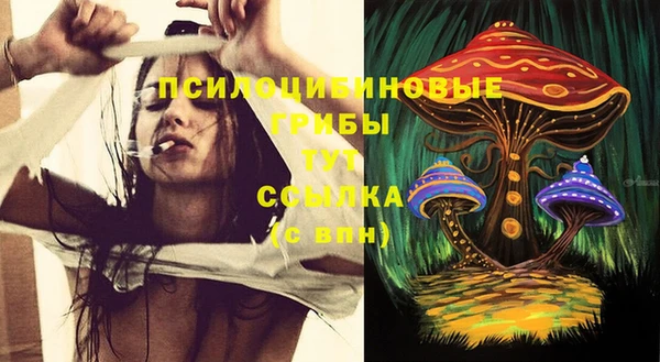 прущие крисы Баксан