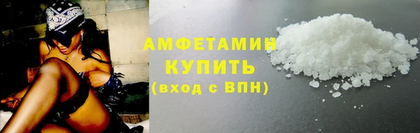 сатива Балахна