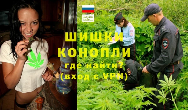сатива Балахна
